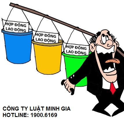 Quy định pháp luật về việc công ty không kí hợp đồng lao động
