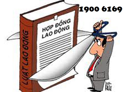Sai phạm khi kí kết sai loại hợp đồng lao động thì xử lí thế nào?