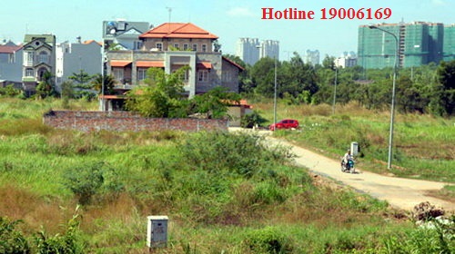 Xây dựng nhà ở trên đất trồng cây hàng năm bị xử lý thế nào?