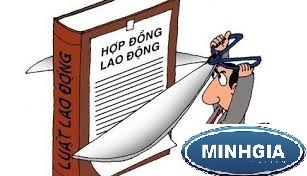 Công ty không ký quyết định chấm dứt HĐLĐ phải làm thế nào?