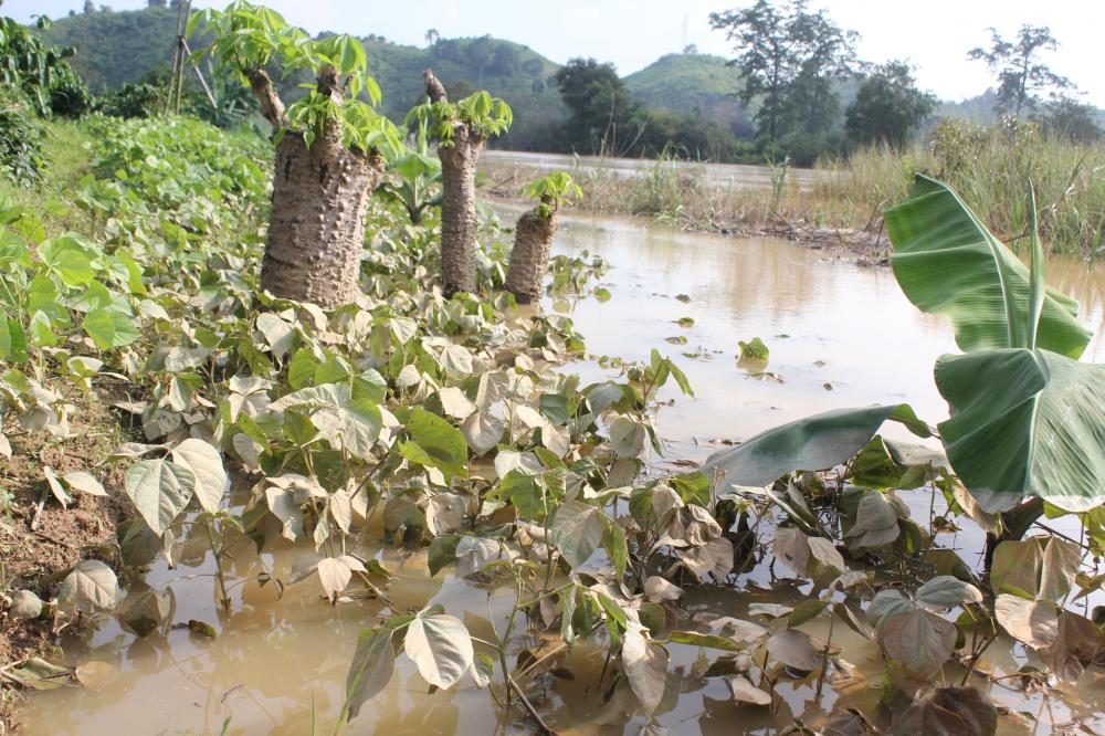 Tư vấn về thẩm quyền thu hồi đất