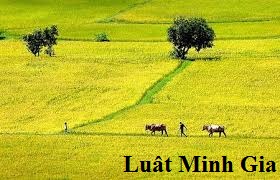 Tư vấn pháp luật đất đai về chuyển mục đích sử dụng đất nông nghiệp