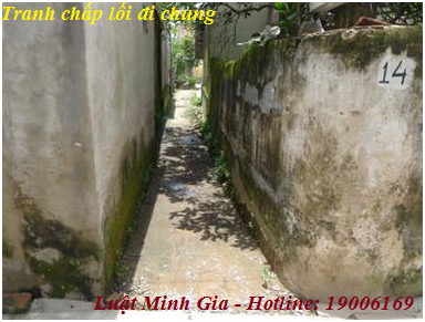 Tư vấn giải quyết tranh chấp lối đi chung