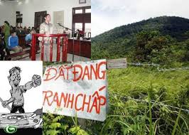 Tranh chấp đất khai hoang không có giấy tờ