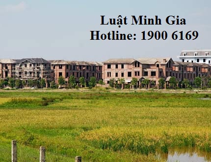 Quy định về xử phạt vi phạm hành chính trong lĩnh vực đất đai