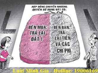 Chuyển nhượng đất nhưng chưa chuyển quyền sở hữu