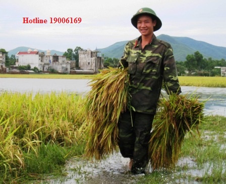 Đến tuổi tham gia NVQS nhưng không có lệnh gọi khám tuyển?