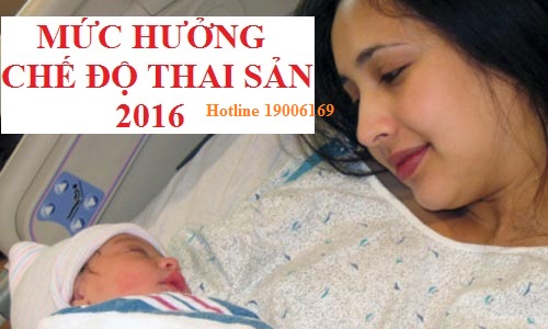 Hồ sơ thủ tục hưởng chế độ bảo hiểm thai sản.
