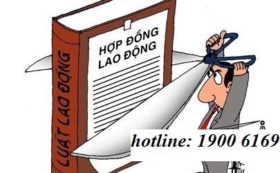 NSDLĐ đơn phương chấm dứt HĐLĐ vì lý do thay đổi cơ cấu