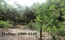 Có đòi được nhà đất đã tặng cho không?