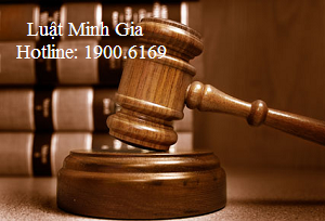 Thủ tục, điều kiện nhập khẩu thành phố Hồ Chí Minh.