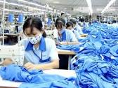 Gian lận bảo hiểm thất nghiệp bị xử lý như thế nào?