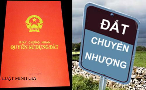 Xác lập quyền sử dụng đất trước năm 1993 mà không có giấy tờ theo quy định