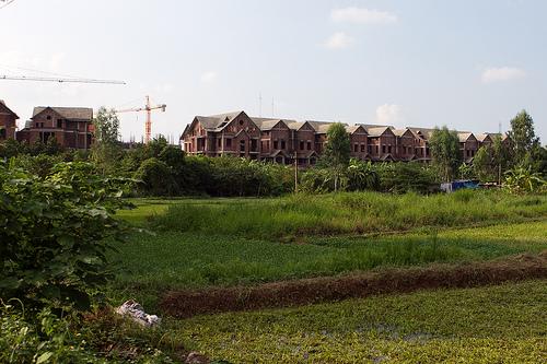 Chuyển đổi đất trồng cây sang đất thổ cư thực hiện thế nào ?