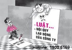 Tư vấn về kỷ luật lao động