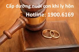 Tư vấn về giành quyền nuôi con khi ly hôn qua tổng đài 19006169