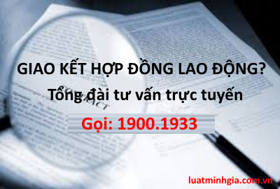 Tư vấn Hợp đồng lao động, Loại HĐLĐ, nội dung HĐLĐ và thực hiện HĐLĐ