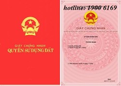 Có nên sang nhượng nhà đất khi ba mất năng lực hành vi dân sự?