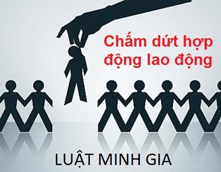 Chấm dứt quan hệ lao động khi không ký kết hợp đồng lao động