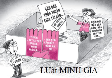 Tư vấn xin cấp GCNQSDĐ đối với đất được thừa kế.