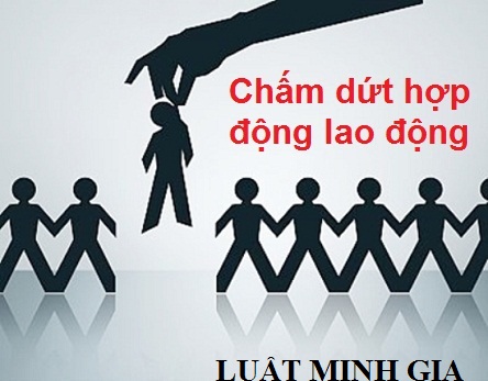 Tư vấn về trường hợp người sử dụng lao động đơn phương chấm dứt hợp đồng
