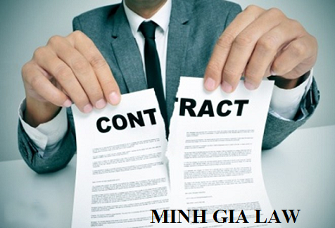 Tư vấn trường hợp người sử dụng lao động đơn phương chấm dứt hợp đồng lao động