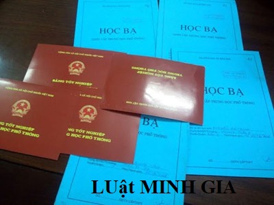 Tư vấn về tội môi giới làm bằng giả.