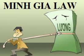 Tư vấn về trường hợp công ty nợ lương, nợ tiền BHXH và không chốt sổ BHXH