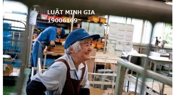 Tư vấn về rút ngắn thời giờ làm việc cho người lao động cao tuổi