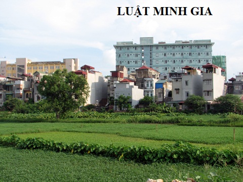 Tư vấn cách tính thuế sử dụng đất phi nông nghiệp