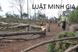 Trách nhiệm vật chất và bồi thường thiệt hại
