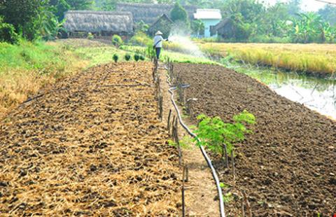 Chuyển từ đất trồng lúa sang nuôi, trồng thuỷ canh được không?