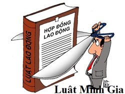 Tư vấn tranh chấp về quyền lợi của người lao động