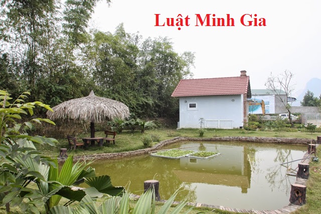 Tranh chấp đất đai giữa người sử dụng đất và người ở nhờ trên đất