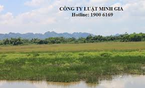 Có được tự ý tu bổ đất thổ cư không?