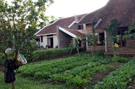 Tư vấn về phí và lệ phí chuyển đổi mục đích sử dụng đất