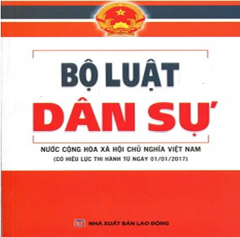 Người con chăm sóc mẹ già thì khi mẹ mất có được hưởng toàn bộ di sản của mẹ không?
