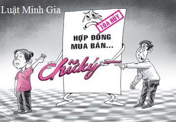 Chuyển nhượng quyền sử dụng đất bằng lời nói có hiệu lực pháp luật không?