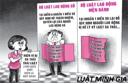Không ký hợp đồng lao động có phải bồi thường khi gây thiệt hại không.