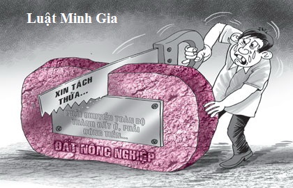 Tách thửa đất thuộc hộ gia đinh