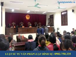 Tư vấn về trường hợp khởi kiện khi tỉnh thu hồi đất rồi bán đấu giá cho người khác?