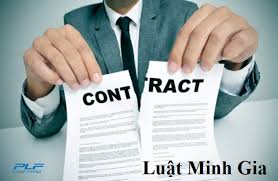 NSDLĐ không trả tiền lương cho NLĐ thì NLĐ nên làm gì?