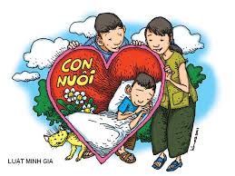 Người nước ngoài muốn nhận nuôi con nuôi đích danh cần đáp ứng các điều kiện gì?