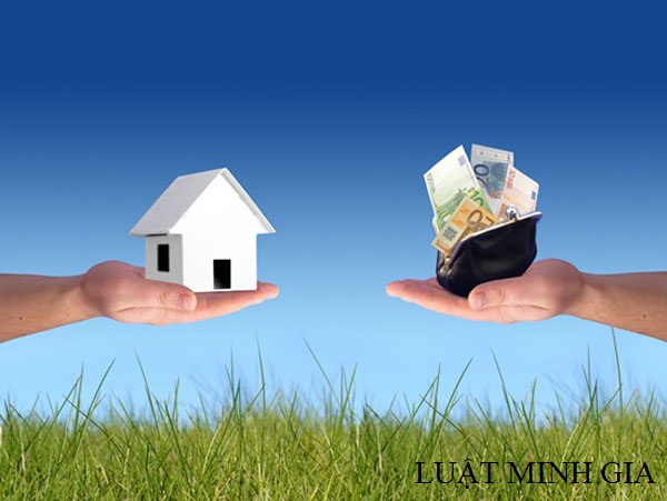 Tư vấn về hạn mức đất ở của hộ gia đình