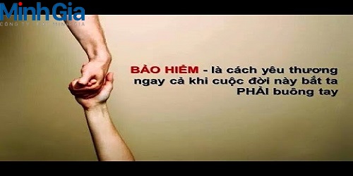 Quy định về hợp đồng bảo hiểm con người?