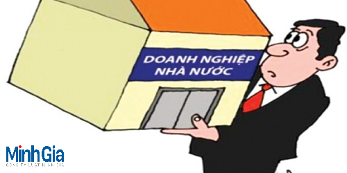 Bổ nhiệm phó giám đốc có phải họp HĐTV không?