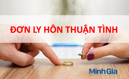 /Uploads/images/don-xin-ly-hon-thuan-tinh-moi-nhat-1.png