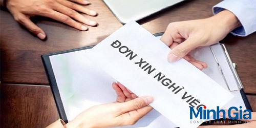 Lý do xin nghỉ việc là gì? Quy định thế nào?