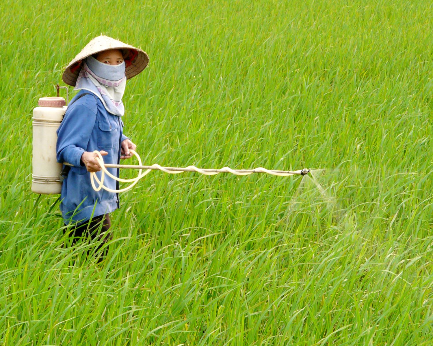 thuoc-thuc-vat-jpg-04082014120425-U16.jpg