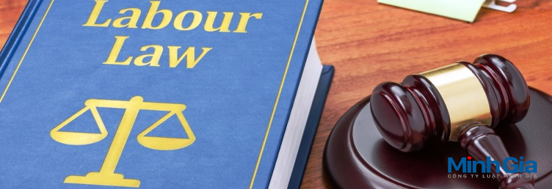 Hợp đồng lao động là gì? Tư vấn quy định về hợp đồng lao động